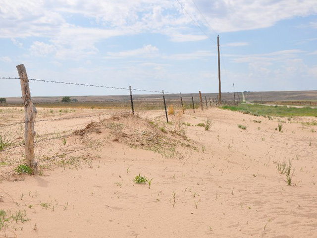 Many areas of the Southern Plains are entering what is the fourth year of drought, according to Mike Hayes, director of the National Drought Mitigation Center at the University of Nebraska-Lincoln. (DTN file photo by Chris Clayton)